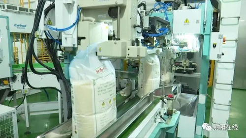 射陽大米首獲省政府農業技術推廣獎，技術創新引領產業升級