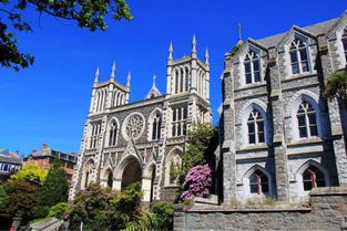 夢想照進現實 在新西蘭學習動漫技術開發，踏上成為下一個宮崎駿的旅程